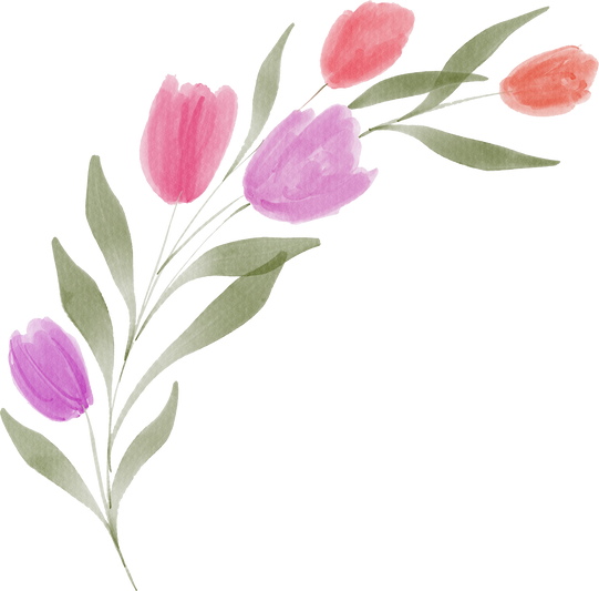 Watercolor Tulip Flower Illustration